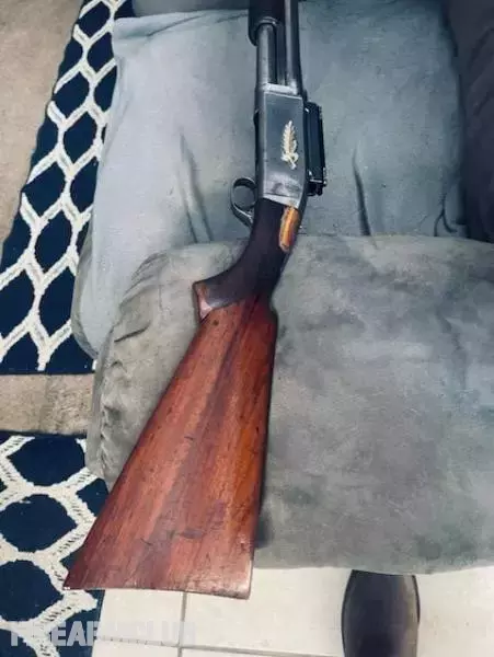 Remington Model 29