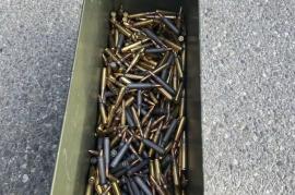 5.56 Ammo