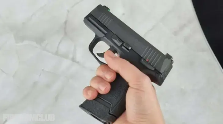 Sig Sauer P365 Sig Sauer P365