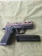 Sig p320 xcarry with 3xmags for trade