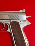 Wildey Firearms **Survivor 6