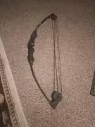 Banshee Compound Bow